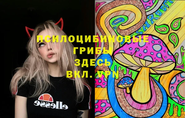 ECSTASY Абаза