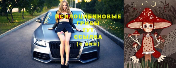 гидра Абдулино