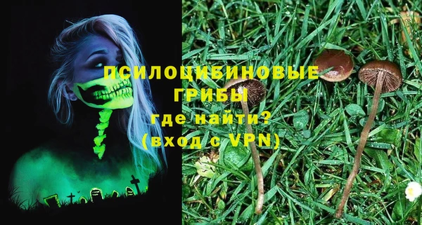 гидра Абдулино