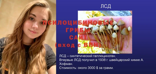 ECSTASY Абаза