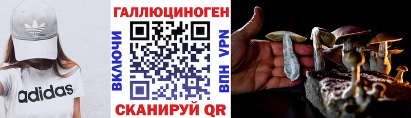 KRAKEN ССЫЛКА  Калачинск  Псилоцибиновые грибы Psilocybine cubensis  цены  